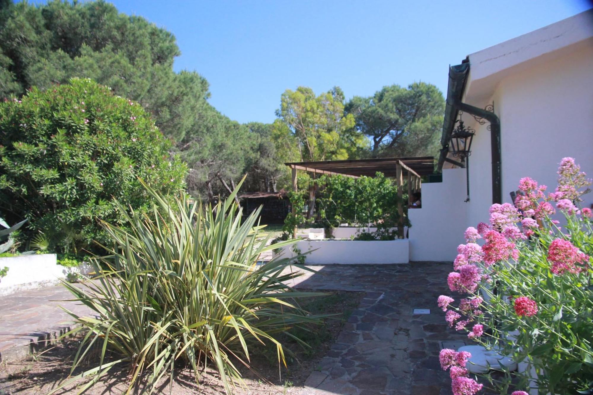 Azienda Agricola Sapereta Porto Azzurro Zewnętrze zdjęcie